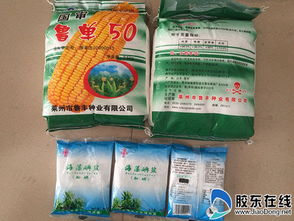 招遠(yuǎn)警方開展 假鹽換真 健康伴你行 活動圖