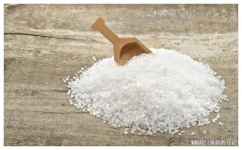 中國(guó)人餐桌上的鹽 傳統(tǒng)與現(xiàn)代的交融